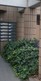 植栽.jpg