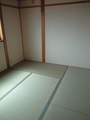 CA3A0134.jpg