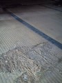 CA3A0143.jpg