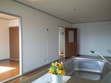 CA3A0230.jpg