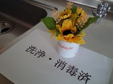 CA3A0231.jpg
