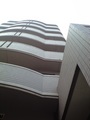 CA3A0268.jpg