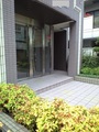 CA3A0269.jpg