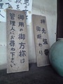 CA3A0282.jpg