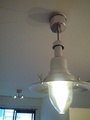CA3A0386.jpg