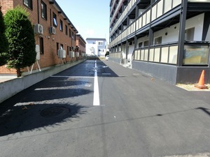 005.jpg