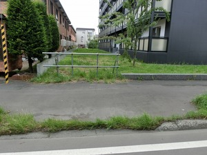 006.jpg