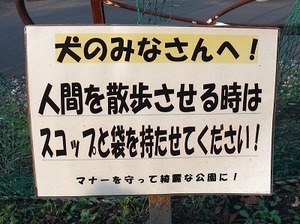 20151117200103267.jpg