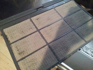 20160907_143952.jpg