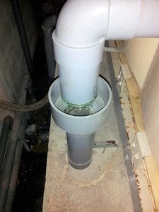 20170224_110428.jpg