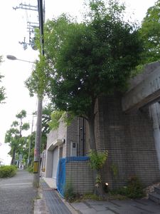 20170608_175306.jpg