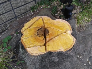 20170612_140157.jpg