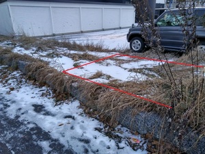 20171204_160125_HDR.jpg