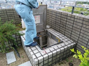 20180530_141546.jpg