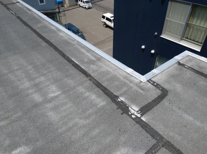 20180604_111812.jpg