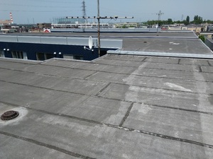 20180604_112452.jpg