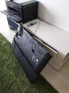 20180618_150258.jpg