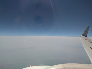 20180625_100428.jpg