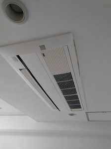 20180713_144353.jpg
