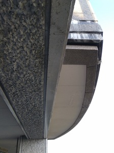 20180807_172826.jpg