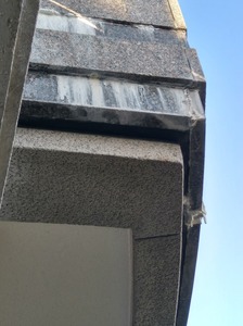 20180807_172839_HDR.jpg