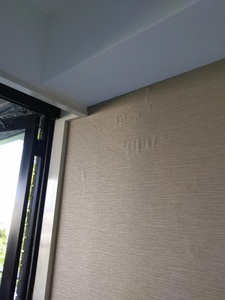 20180807_172912.jpg