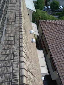 20181002_164100.jpg