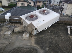 20181005_155525.jpg
