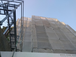 20200425_172612.jpg