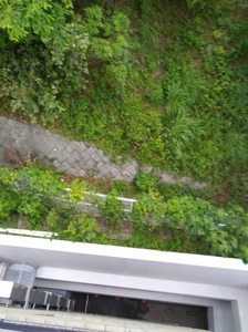 20200527_171821.jpg
