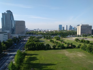 20200602_170504.jpg