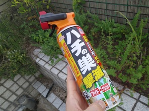 20200604_173748.jpg