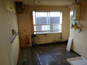 20200714_171933.jpg