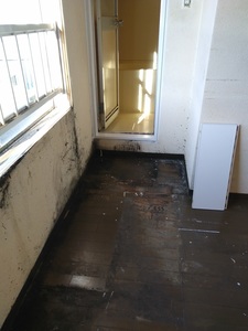 20200714_171956.jpg