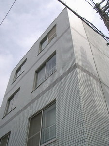 5421684.jpg