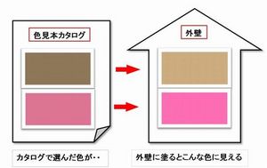 CCCCC0D1B8FAB2CC20-20484.jpg