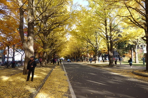 DSC00101.jpg