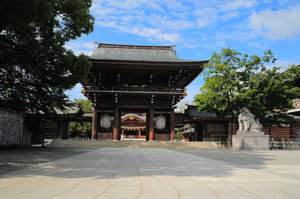 DSC4041-768x511.jpg