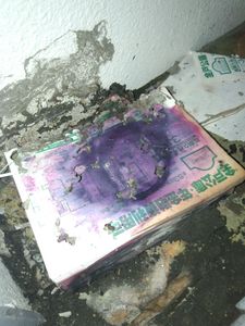 DSC_0023.jpg