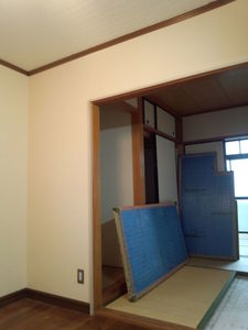 DSC_0123.jpg