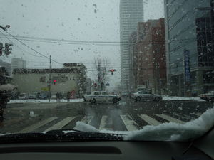 DSC_0249.jpg