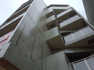 DSC_0275.jpg