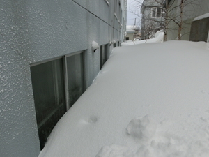 画像 003.jpg