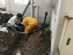 IMG_0200.jpg