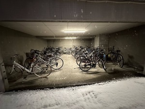 IMG_0655.jpg
