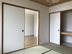 IMG_0914.jpg