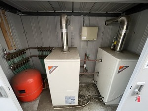 IMG_1162.jpg