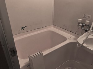 IMG_1228.jpg