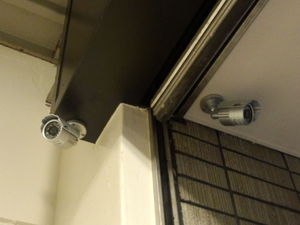 IMG_20120824_183841.jpg