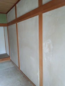 IMG_20120904_112501.jpg